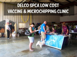 Delco SPCA August 2013_web copy